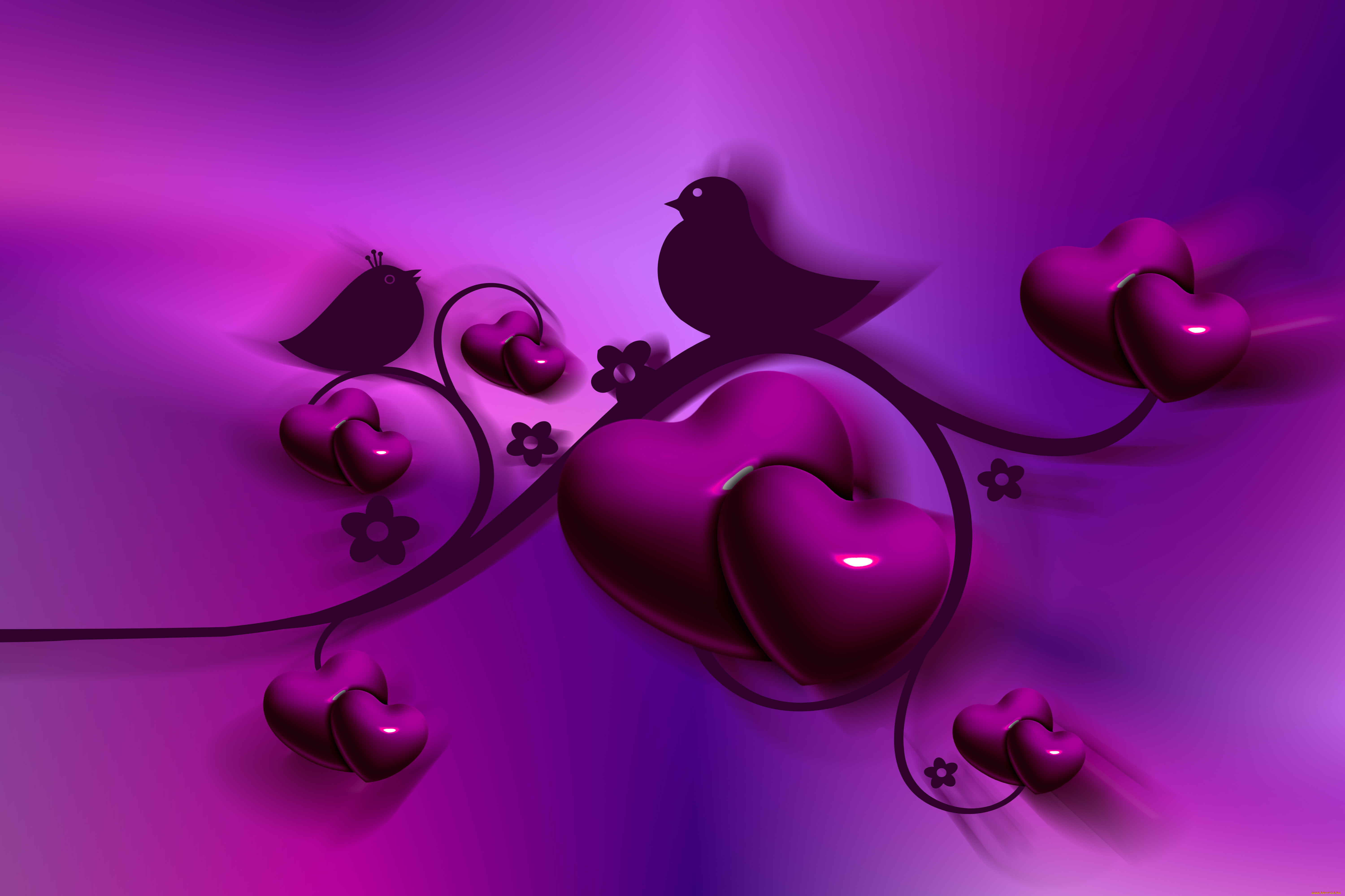 ,   ,  ,  , , 